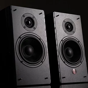 Bass speakers