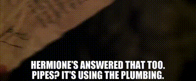 sound can travel through pipes