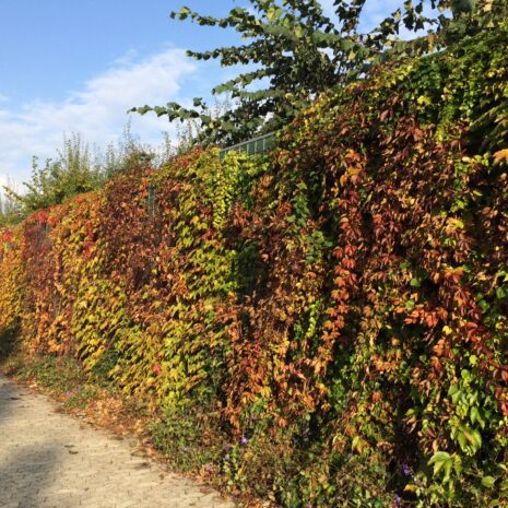 Noistop-Steel-Residential-private-DK-002-300x60cm-no-flanges Noistop-Steel-Residential-private-DK-002-300x60cm-no-flanges