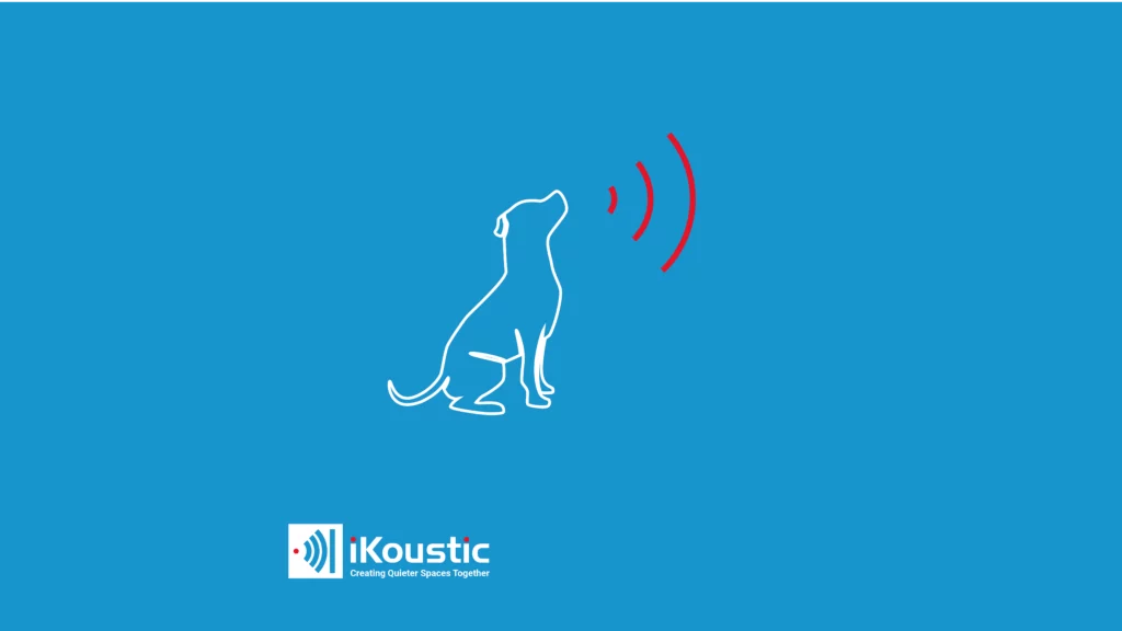 Dog barking noise (laws and soundproofing) Ikoustic Soundproofing